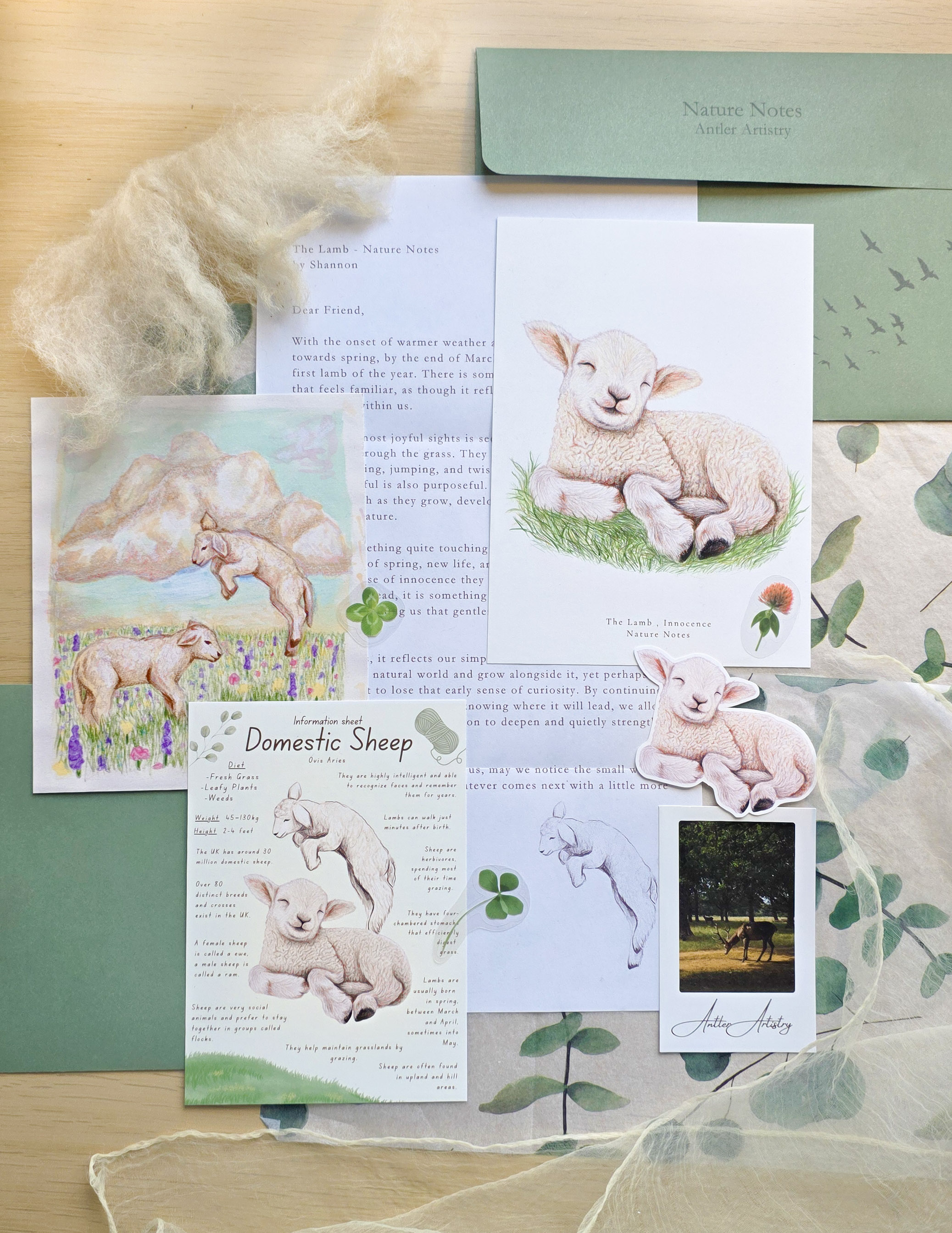 Nature Notes – Art Mail Print Club 🌿